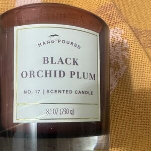 Cost Plus World Market Black Orchid Plum Candle